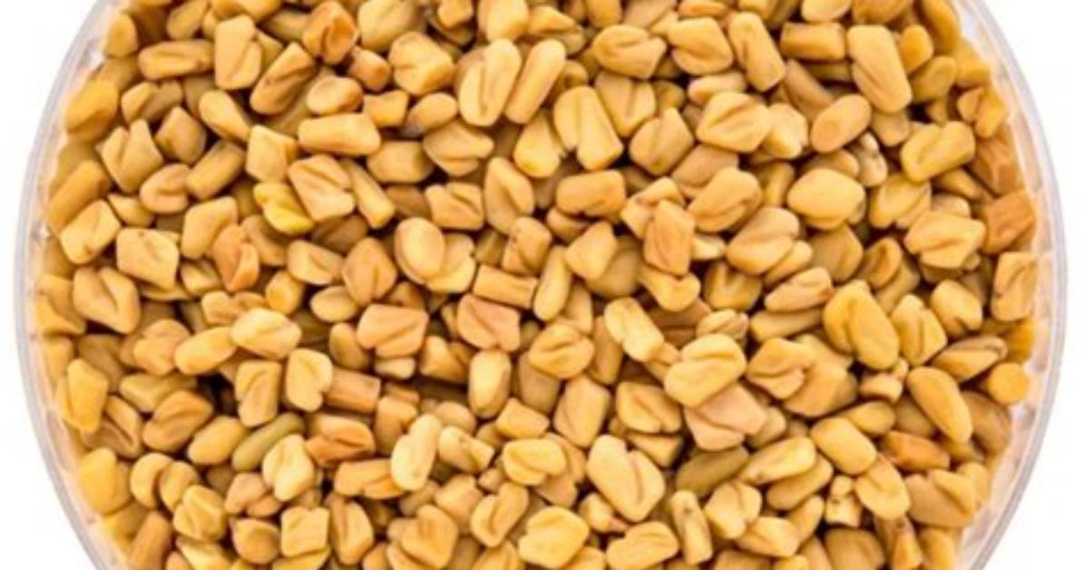 Is Fenugreek a Spice?
