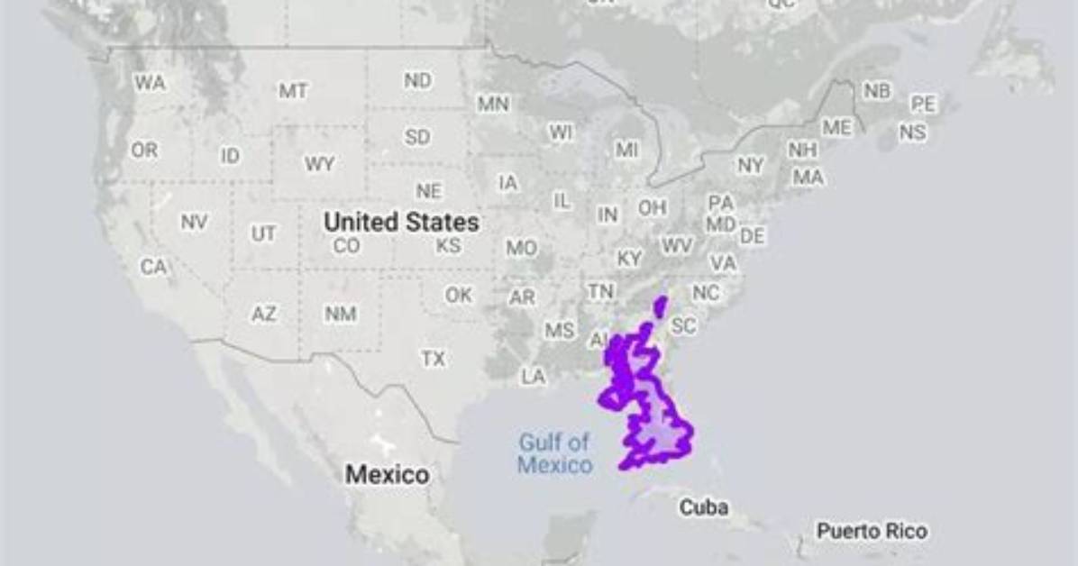 Is Florida Bigger Than England?