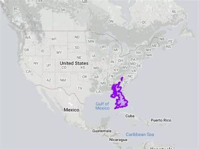 Is Florida Bigger Than England?