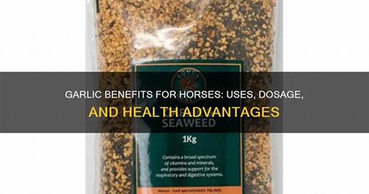 Is Garlic Good for Horses?