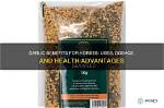 Is Garlic Good for Horses?