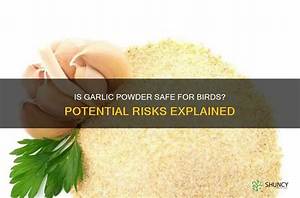 Is Garlic Safe for Wild Birds?