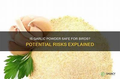 Is Garlic Safe for Wild Birds?