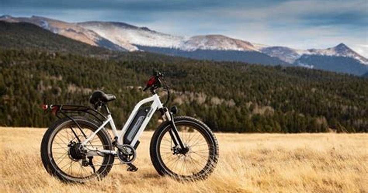 Is Getting an Electric Bike Worth It?