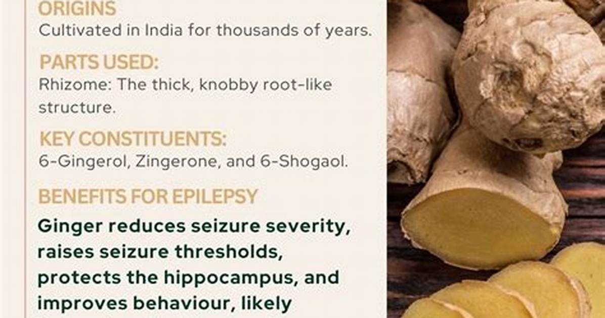 Is Ginger Good for Epilepsy?