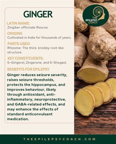 Is Ginger Good for Epilepsy?