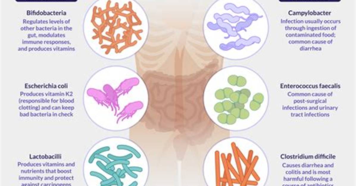 Is Ginger Good for Gut Bacteria?