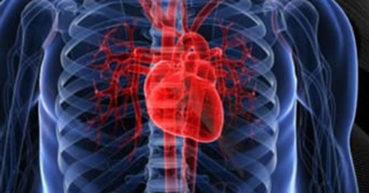 Is Ginger Good for Heart Palpitations?