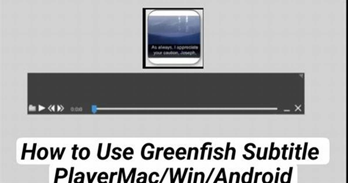 Is Greenfish Subtitle Player Safe?