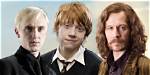 Is Harry a Pureblood? Celebrity. Fm #1 Official Stars, Business & People Network, Wiki, Succe