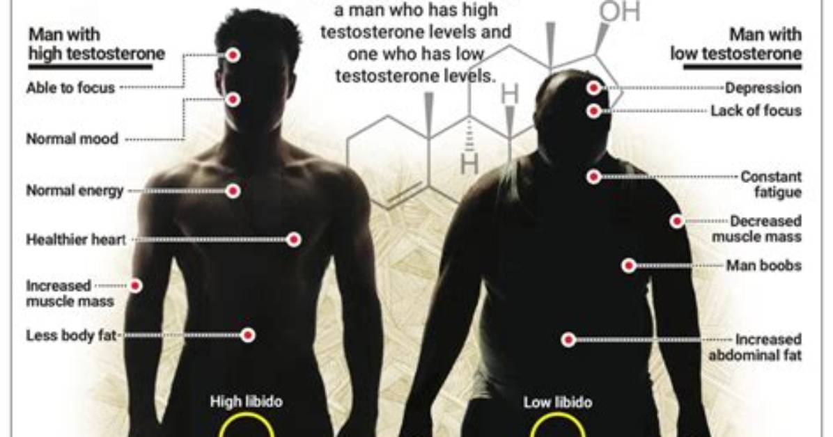Is Having High Testosterone Good?