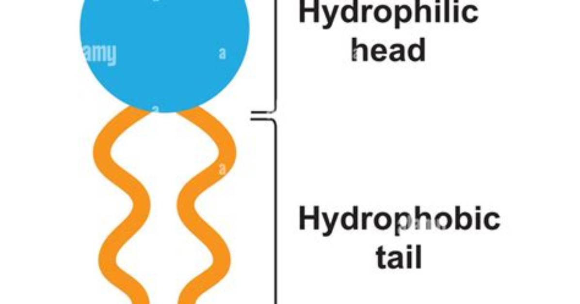 Is Heads or Tails Heavier on a Quarter?