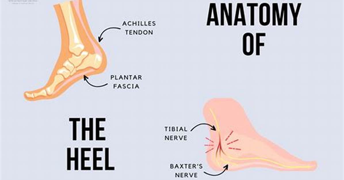 Is Heel and Toe Necessary?