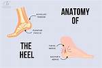 Is Heel and Toe Necessary?