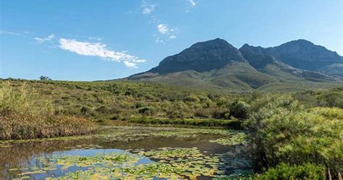 Is Helderberg Nature Reserve Dog Friendly?