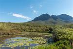 Is Helderberg Nature Reserve Dog Friendly?