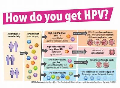 Is High-Risk Hpv Contagious?