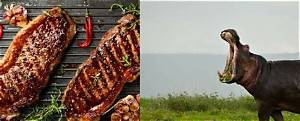 Is Hippo Meat Good Eating?
