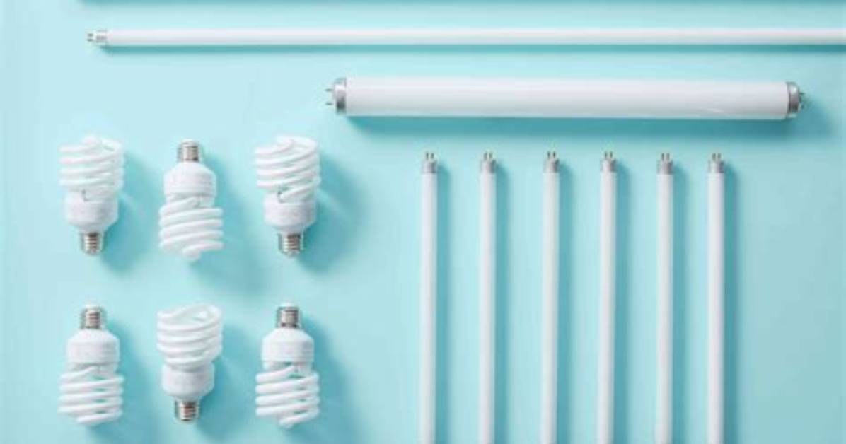 Is in Fluorescent Light Bulbs?