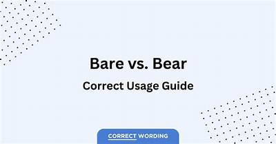 Is It Correct to Say Bare with Me?