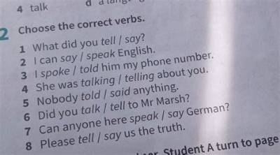 Is It Correct to Say Spoke?