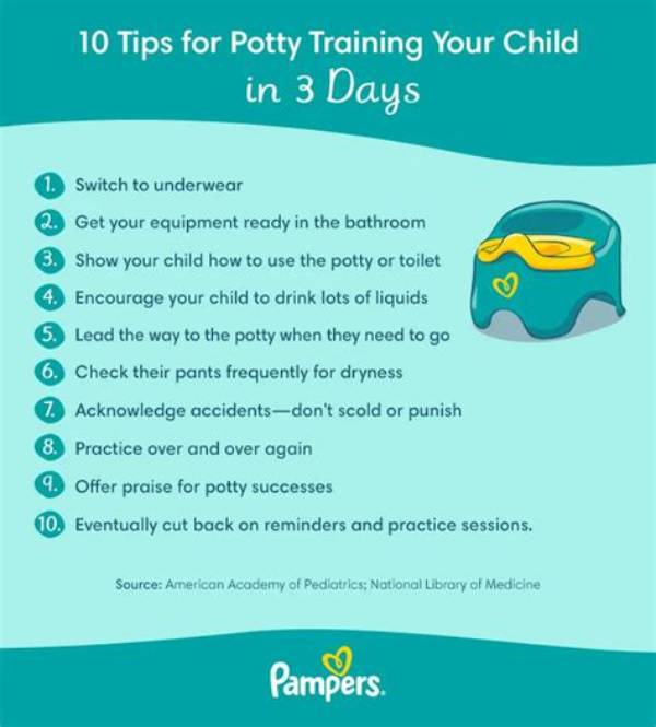 Is It Easier to Potty Train a Boy or Girl?