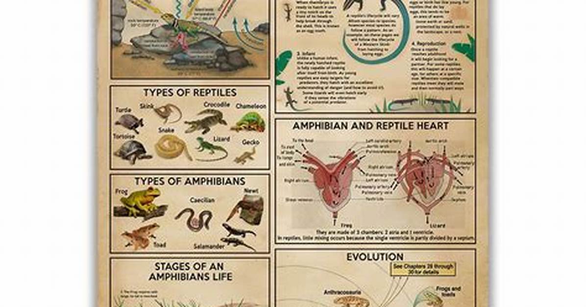 Is It Herpetology or Hepatology?