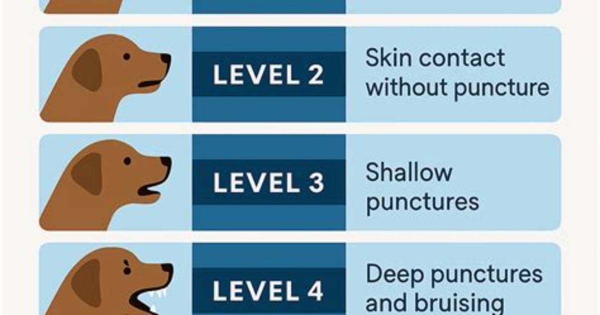 Is It Normal for Dogs to Bite Themselves?