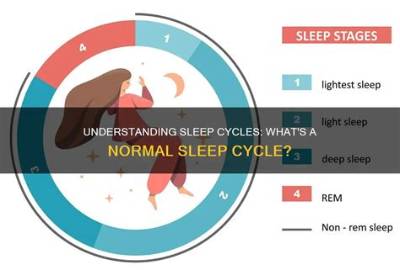 Is It Normal for Someone to Sleep a Lot After a Seizure?