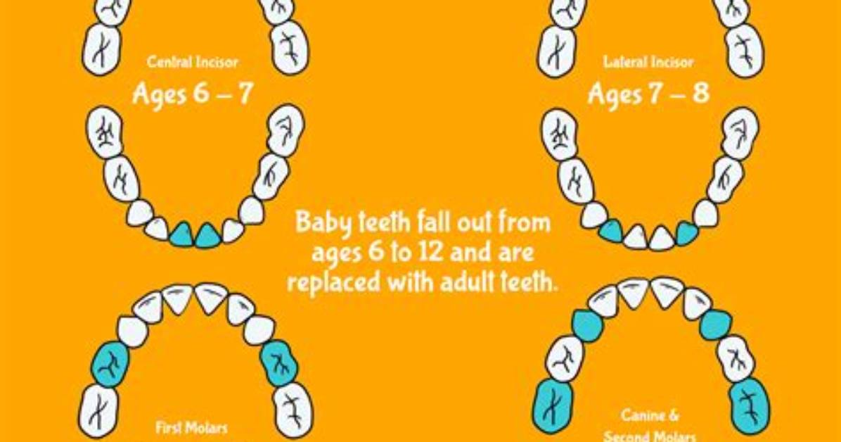 Is It Normal to Lose Teeth at 13?