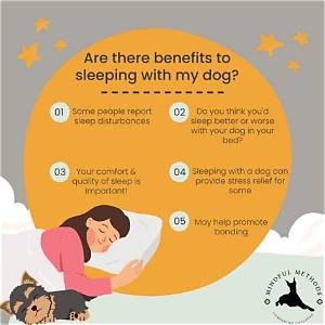 Is It Ok to Sleep with Dog While Pregnant?