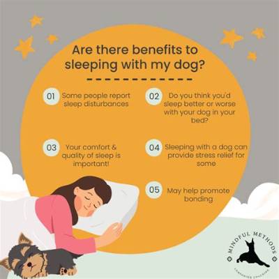 Is It Ok to Sleep with Dog While Pregnant?