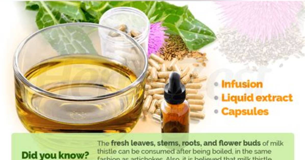 Is It Ok to Take Milk Thistle Every Day?