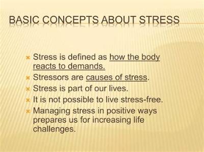 Is It Possible to Live a Stress Free Life?