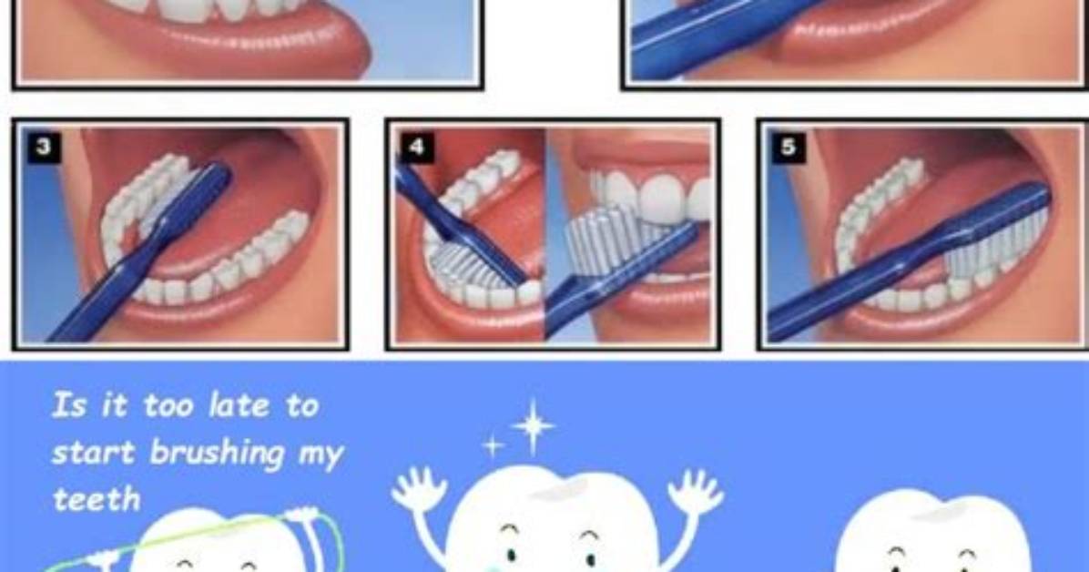 Is It Too Late to Start Brushing?
