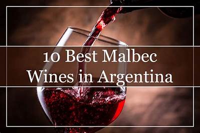 Is Malbec a Good Wine?