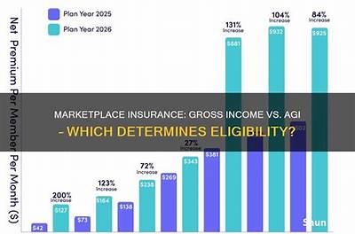 Is Marketplace Insurance Based on Gross or Net Income?