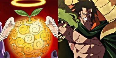 Is Monkey D. Dragon a Devil Fruit User?