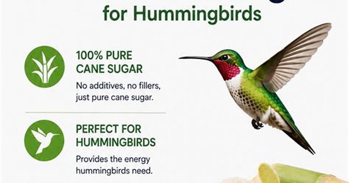 Is Morena Sugar Safe for Hummingbirds?