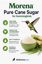 Is Morena Sugar Safe for Hummingbirds?