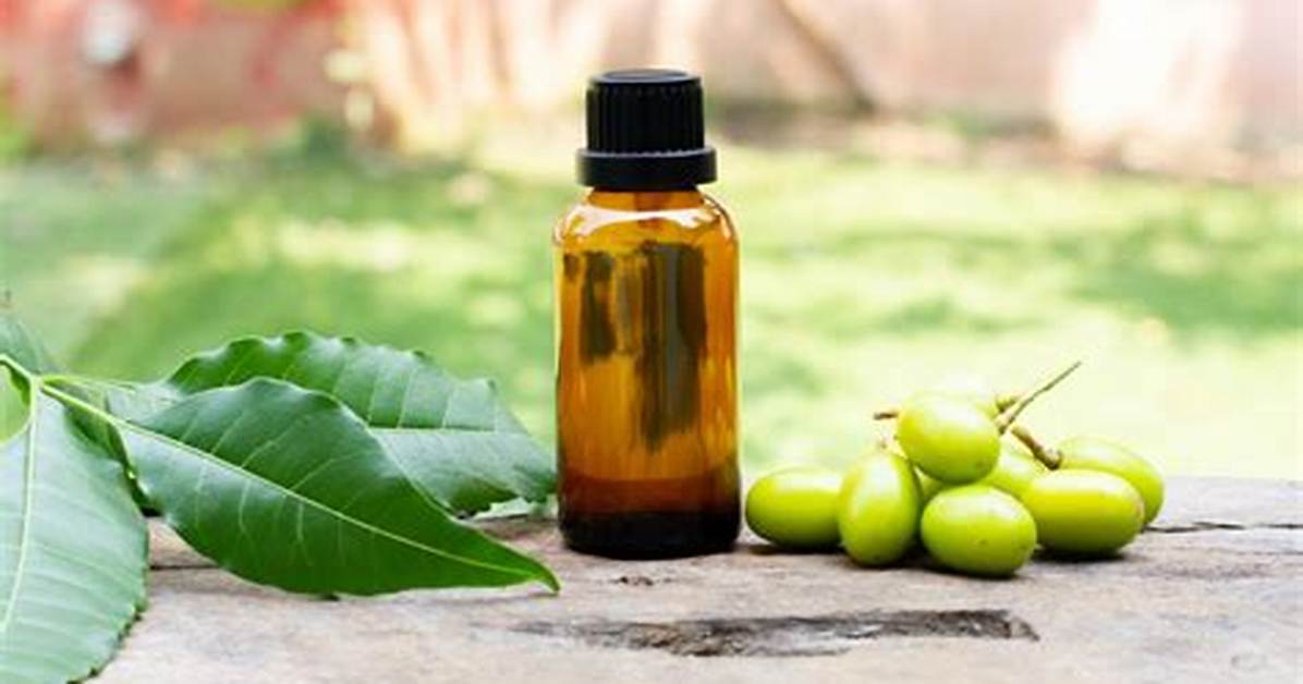 Is Neem Oil Safe for Humans?