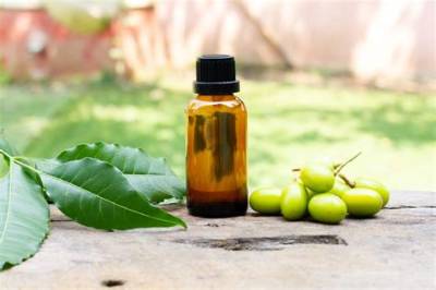 Is Neem Oil Safe for Humans?