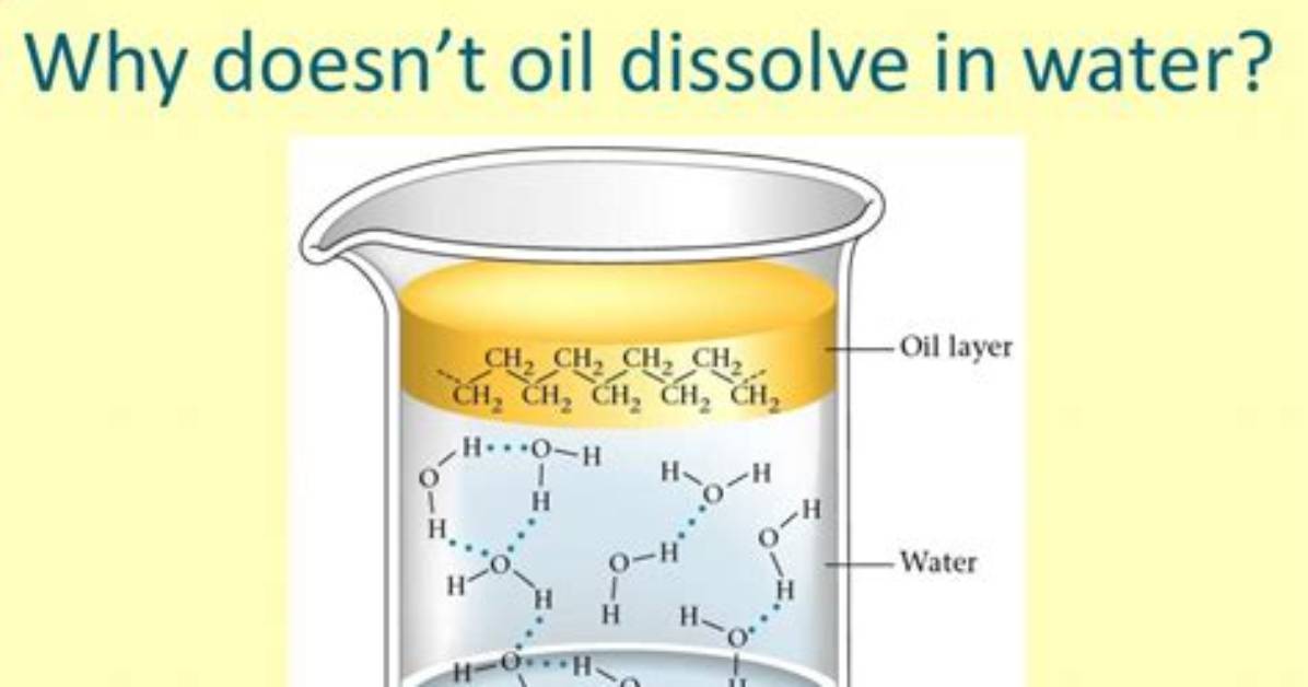 Is Oil Dissolve in Water?