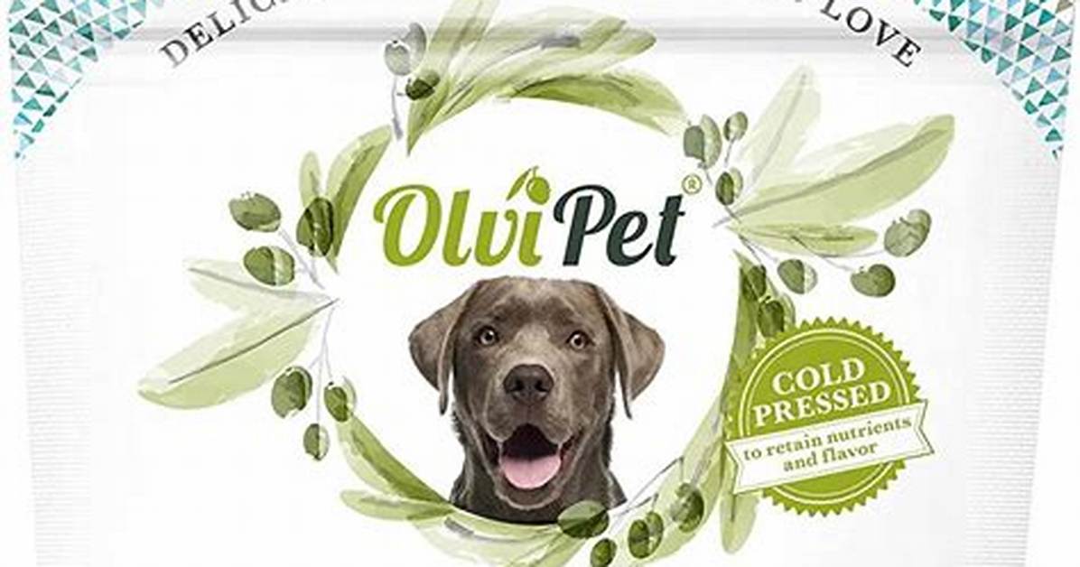 Is Olive Oil Ok for Dogs with Kidney Disease?