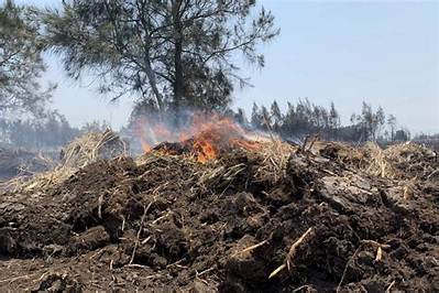 Is Peat Hazardous?