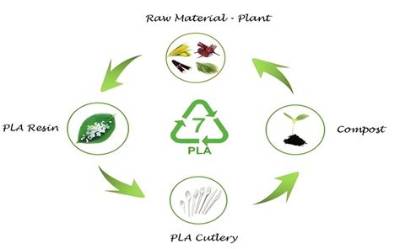 Is Pla Compostable or Recyclable?