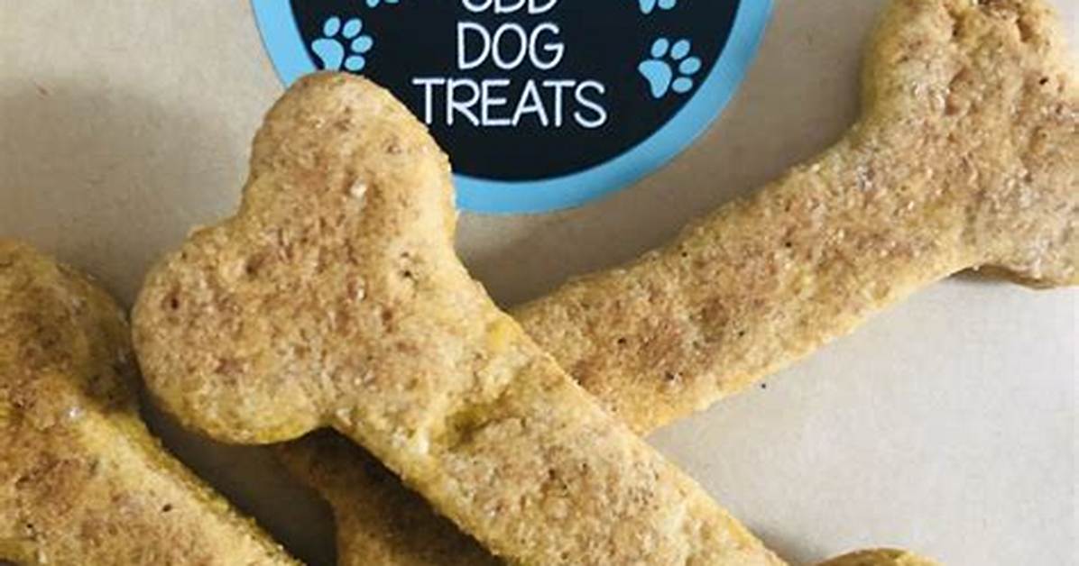 Is Pooches a Dog?
