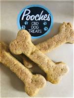 Is Pooches a Dog?