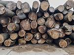 Is Sawtimber One Word?