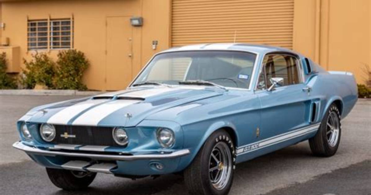 Is Shelby